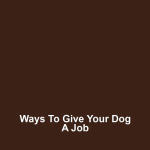 Ways to Give Your Dog a Job