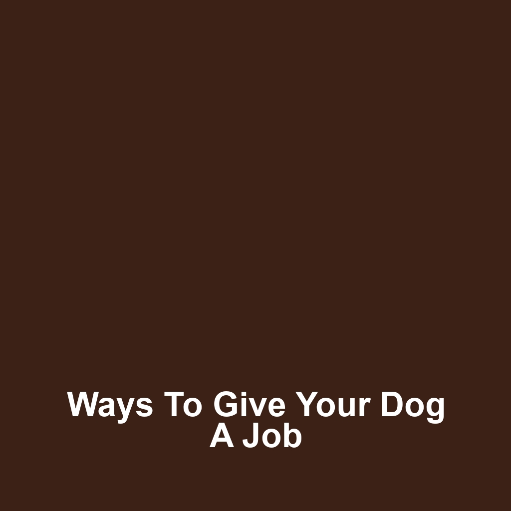 Ways to Give Your Dog a Job